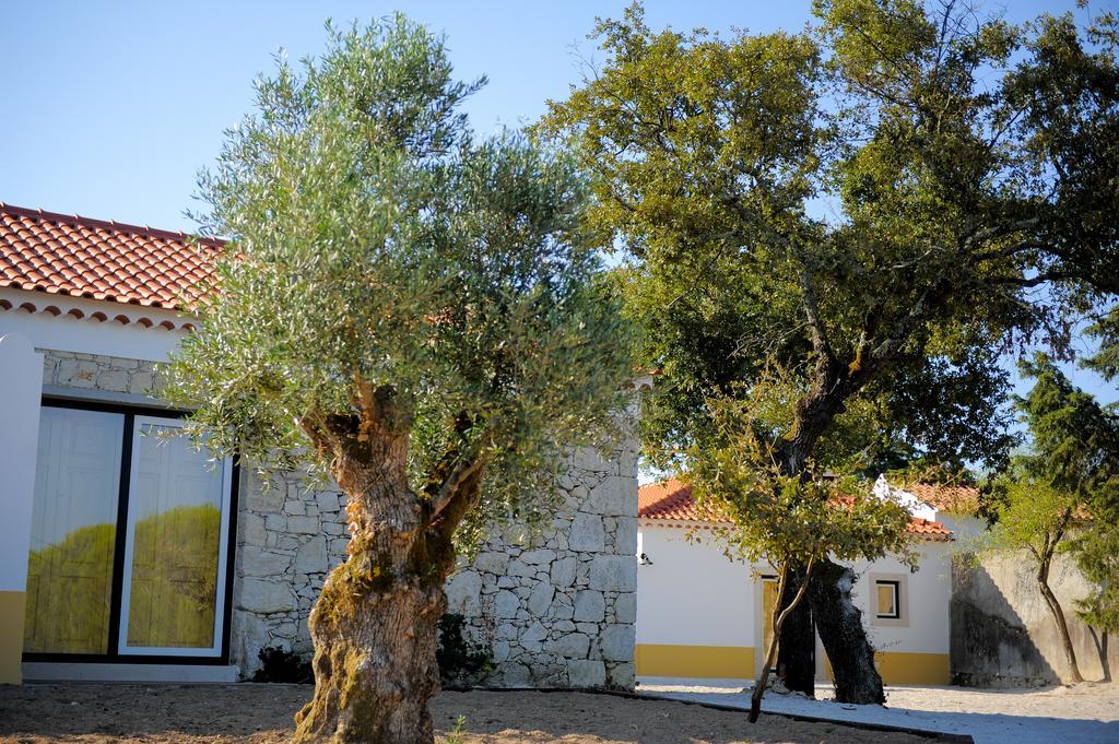 Casa Das Rendufas- Turismo Rural Com Figos Rendufas da Estrada Exterior foto